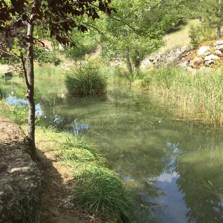 Mazet Lavande * Saint-Martin-de-Brômes