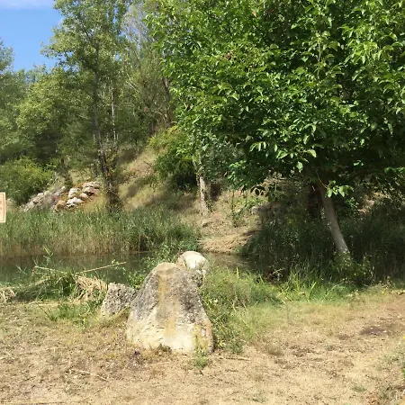 Mazet Lavande * Saint-Martin-de-Brômes
